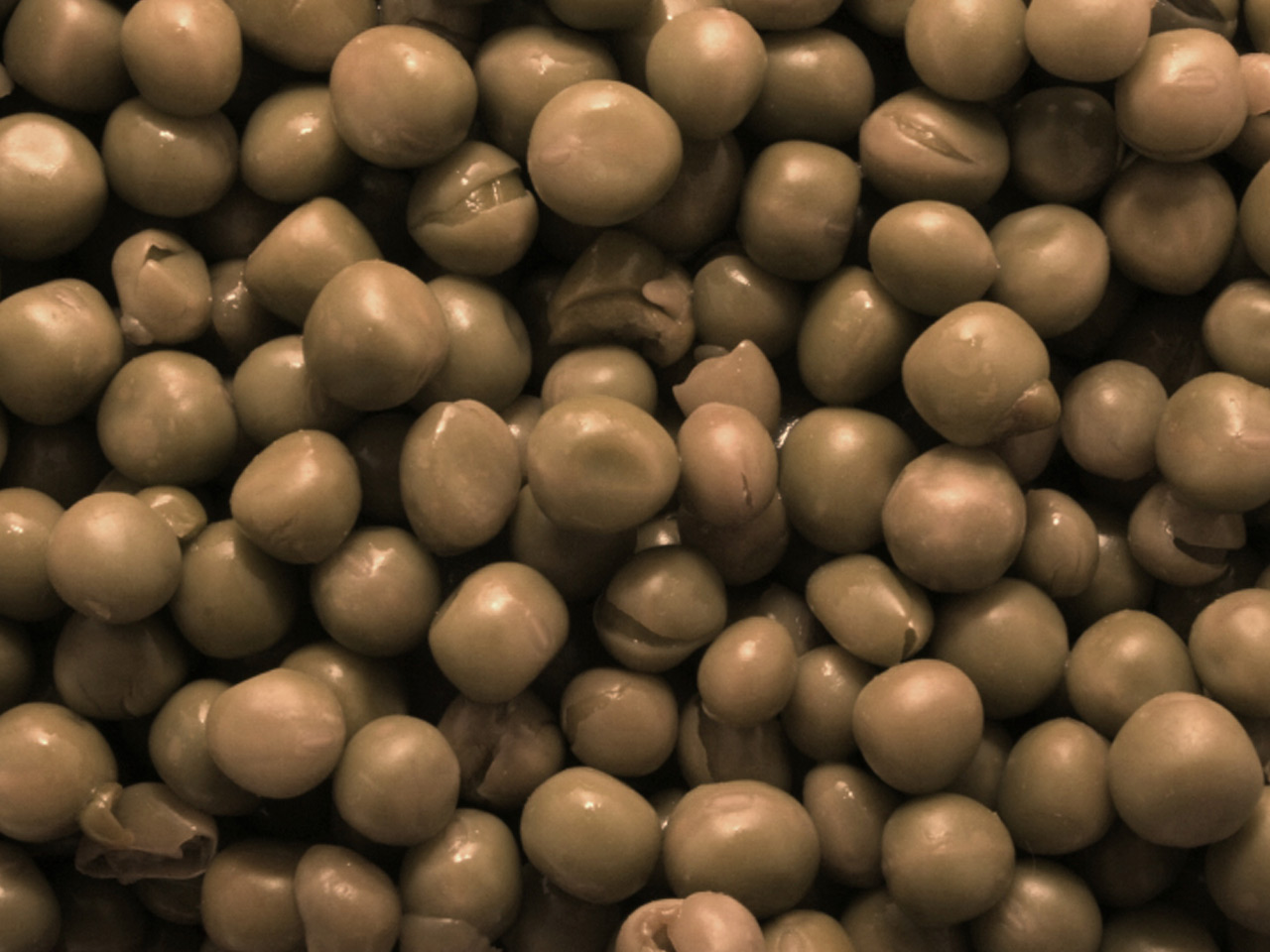 BASP Trading pty Ltd