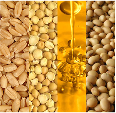 BASP Trading pty Ltd