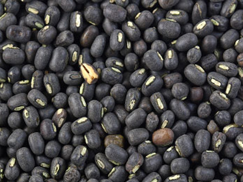 Black Matpe