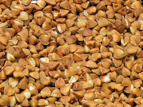Corn Gluten Meal