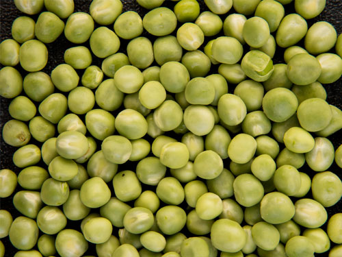 Grains