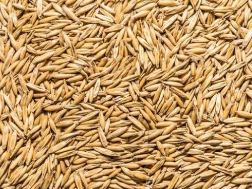 oats 